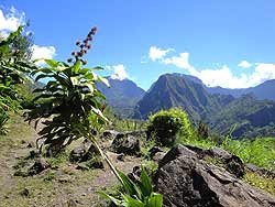 Un continente en una isla Seguramente uno encontraría otros encantos en la ciudad, pero está esperando el resto de la isla, y hay mucha isla por descubrir, así que hay que emprender el camino. Y la elección de por dónde empezar no es fácil.